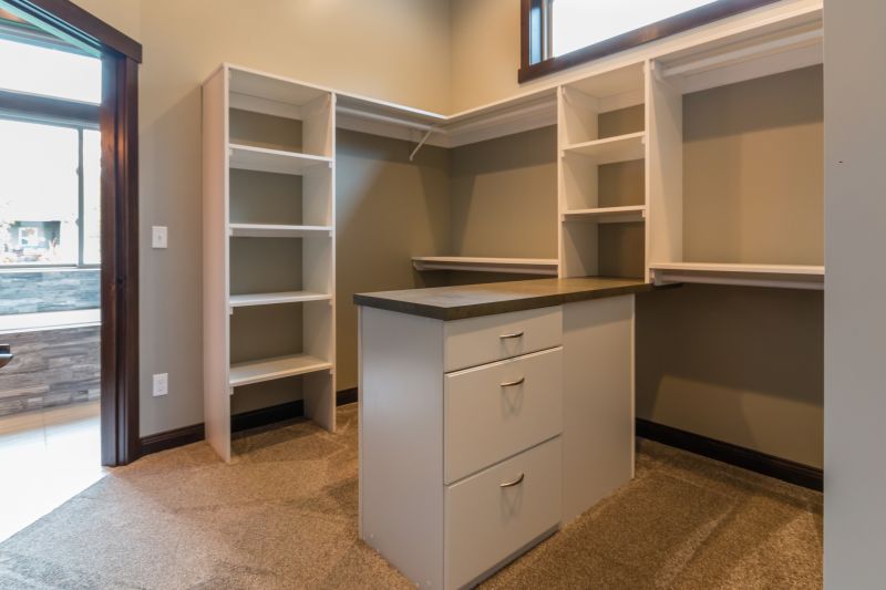 Built-In Shelving And Storage Design Trends